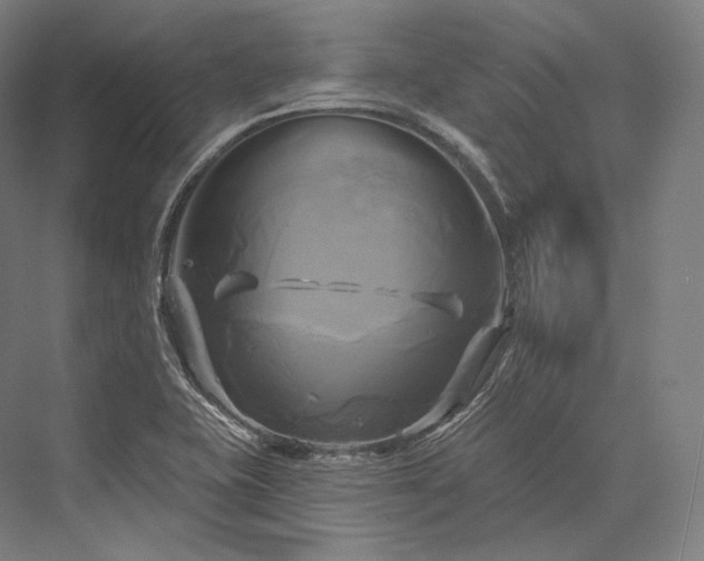 X0000076381415200610061112