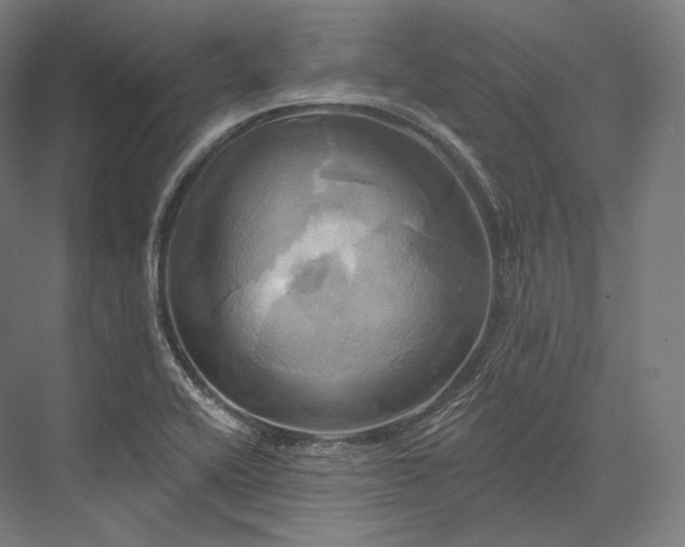 X0000076381416200610061112