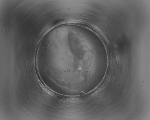 X0000076381417200610061112