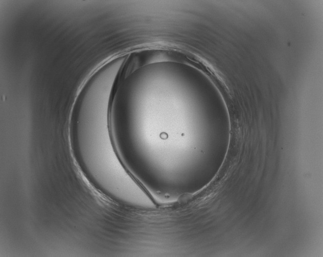 X0000076381418200610061112