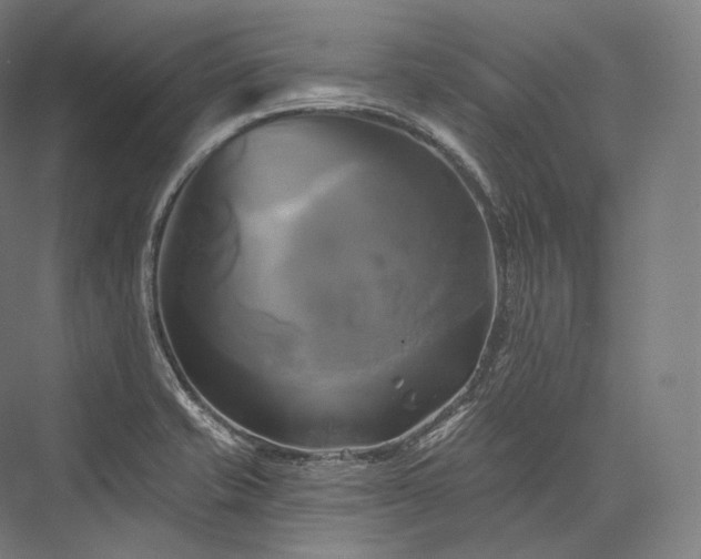 X0000076381421200610061113