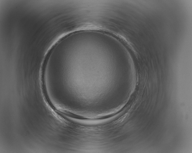 X0000076381422200610061113