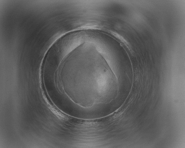 X0000076381423200610061113