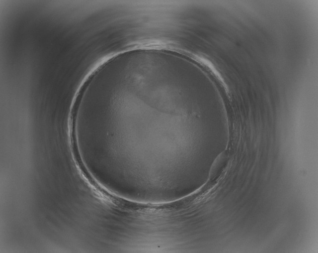 X0000076381424200610061113