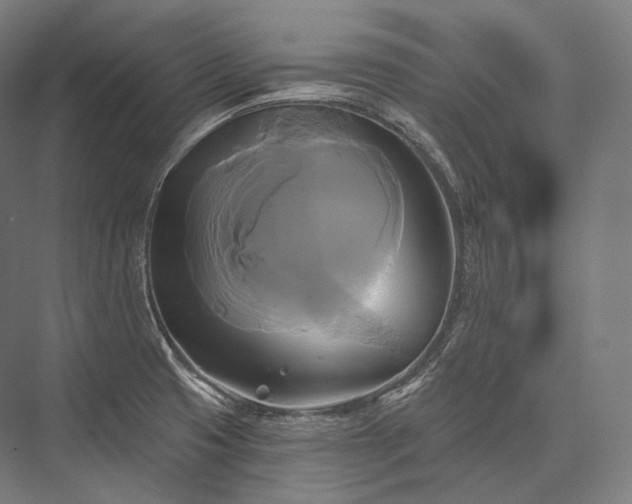 X0000076381425200610061113