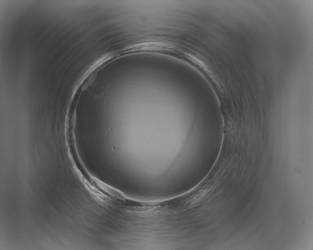 X0000076381426200610061113