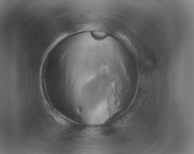 X0000076381427200610061113