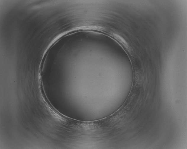 X0000076381428200610061113