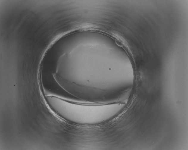 X0000076381429200610061113