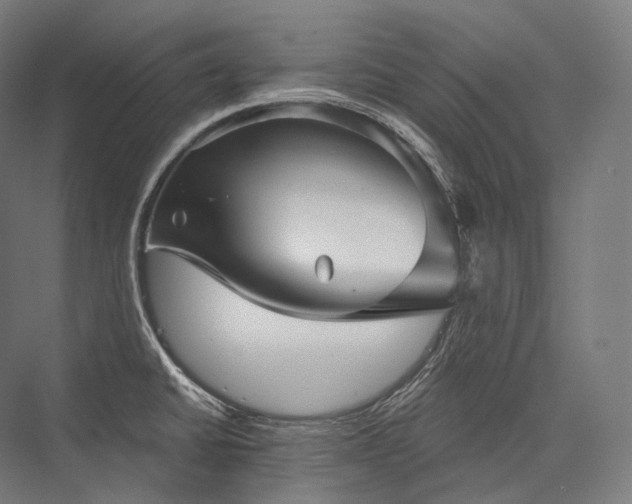 X0000076381430200610061113