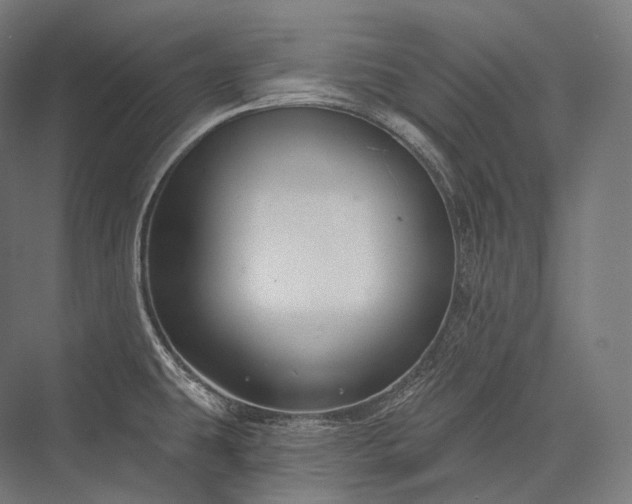 X0000076381431200610061113