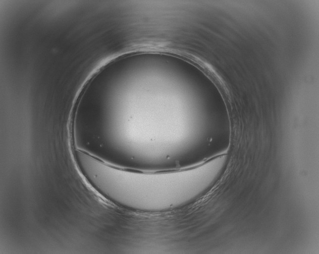 X0000076381432200610061113