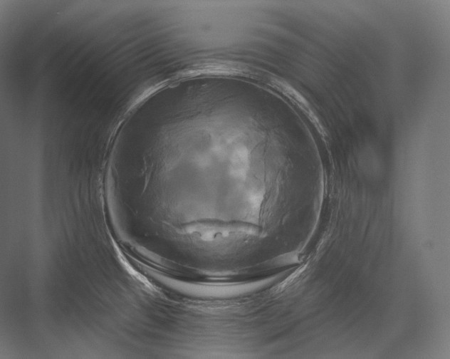 X0000076381433200610061113