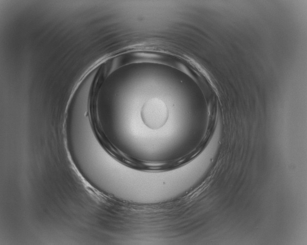 X0000076381434200610061113