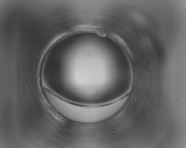 X0000076381435200610061113