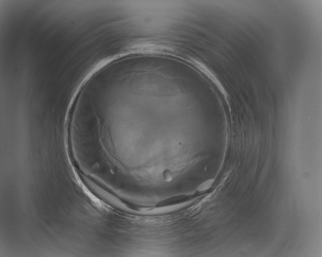 X0000076381437200610061113