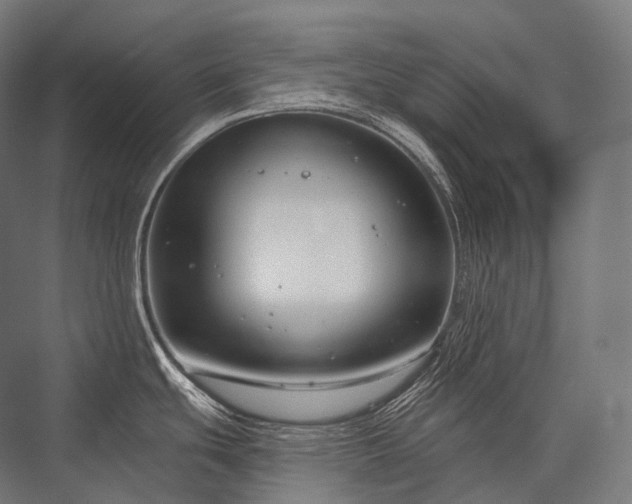 X0000076381439200610061113