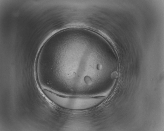 X0000076381440200610061113