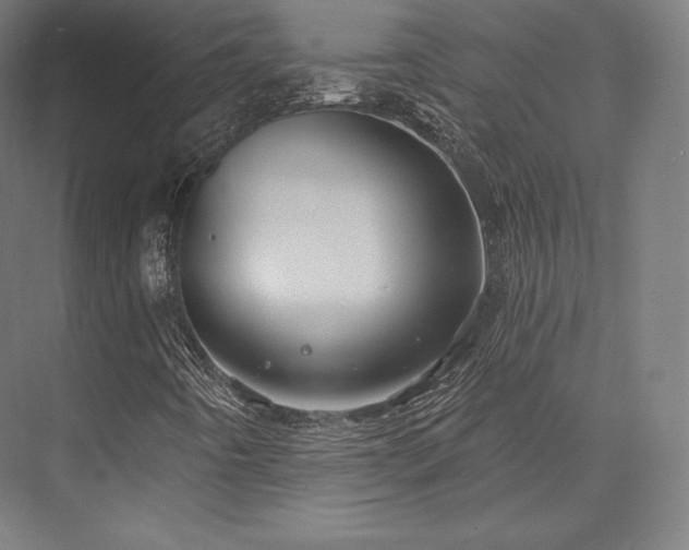 X0000076381442200610061112