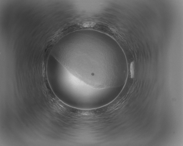 X0000076381443200610061112