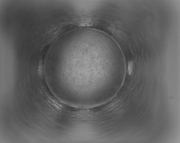 X0000076381444200610061112