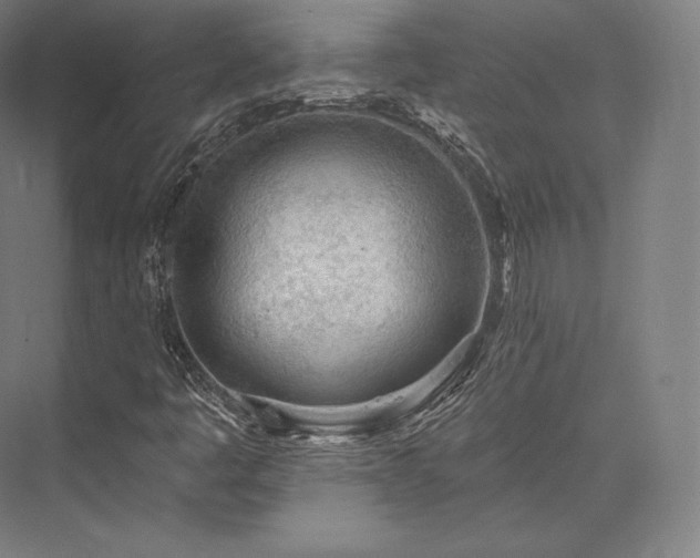 X0000076381445200610061112