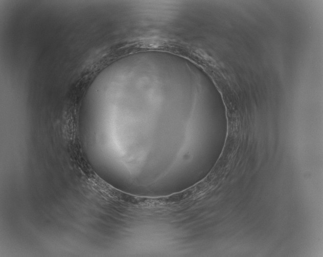 X0000076381446200610061112