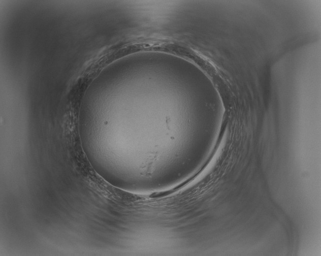 X0000076381447200610061112