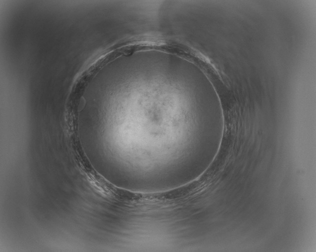 X0000076381448200610061112