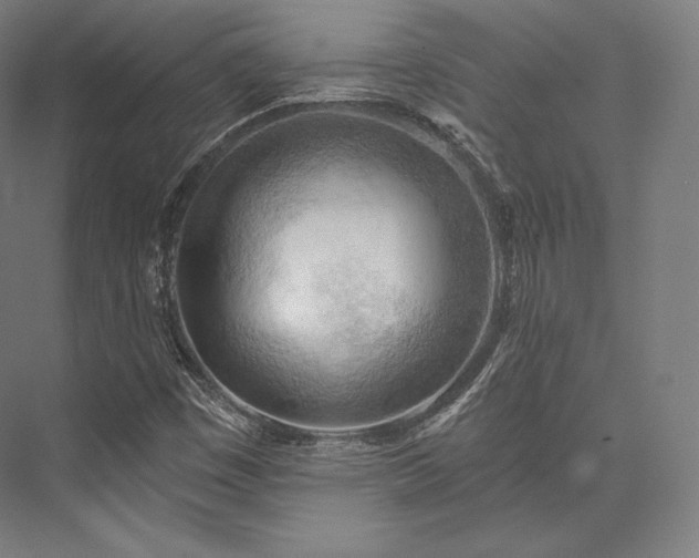 X0000076381449200610061112