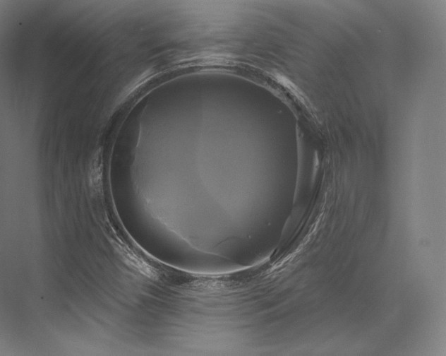 X0000076381450200610061112