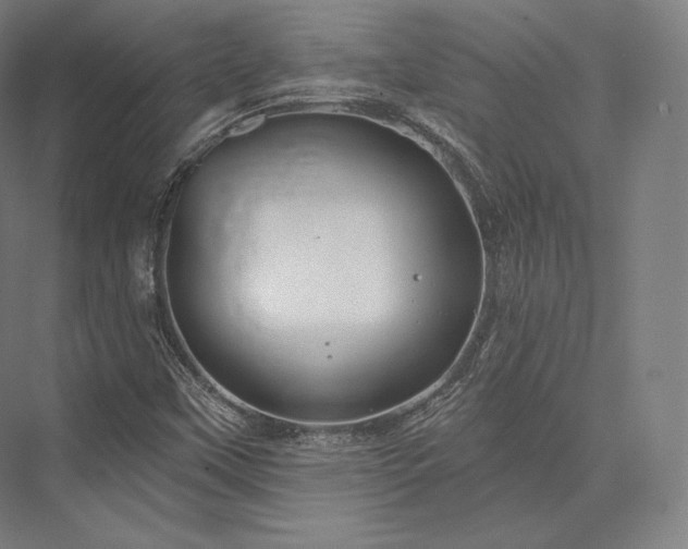 X0000076381451200610061112