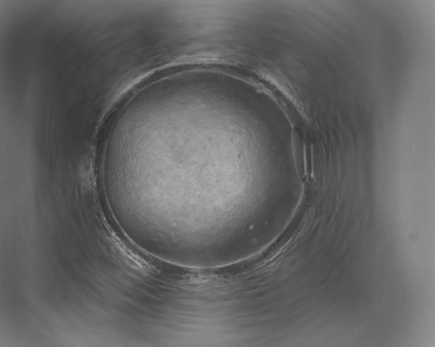 X0000076381452200610061112