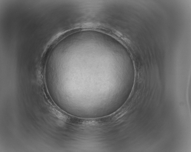 X0000076381454200610061112