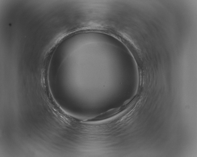 X0000076381455200610061112