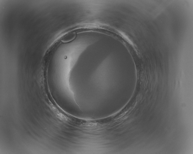 X0000076381456200610061112