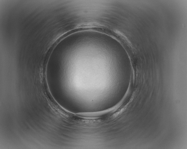 X0000076381457200610061112