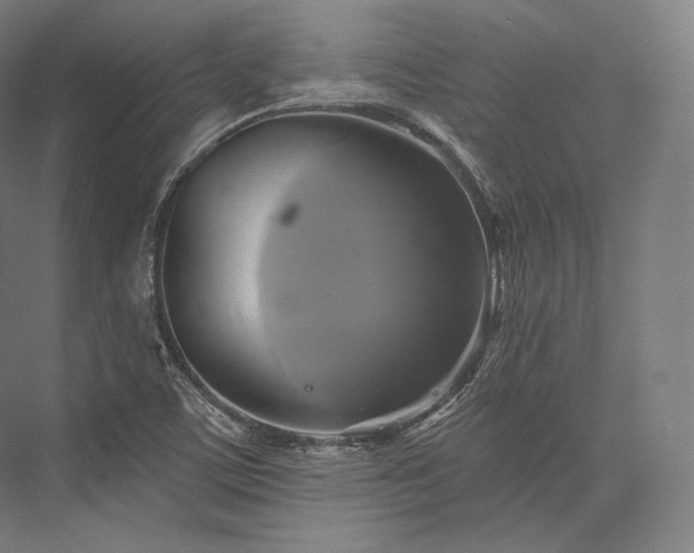 X0000076381459200610061112