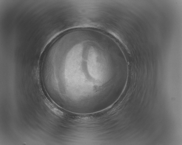 X0000076381460200610061112