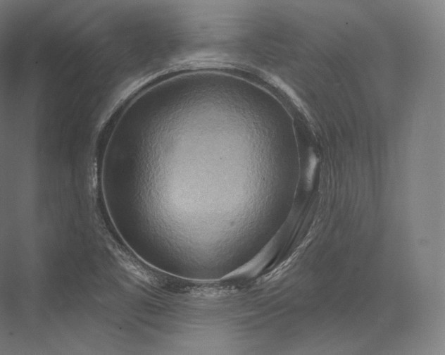 X0000076381461200610061112