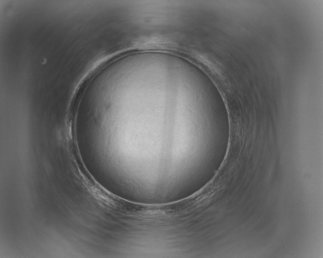 X0000076381462200610061112