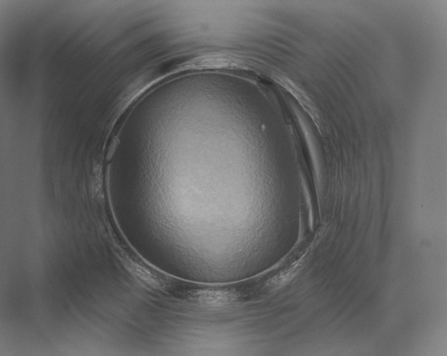 X0000076381465200610061112