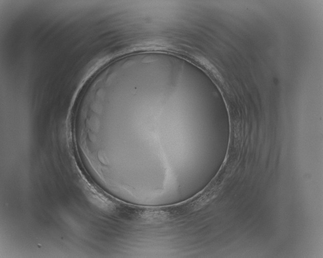 X0000076381466200610061112