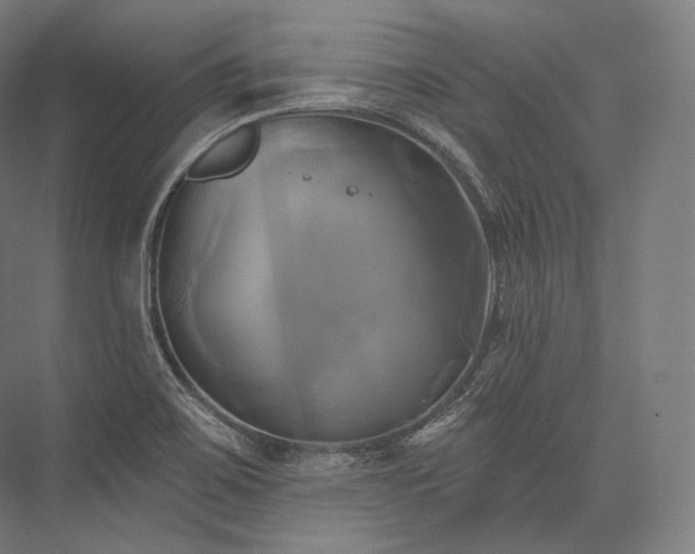 X0000076381467200610061112