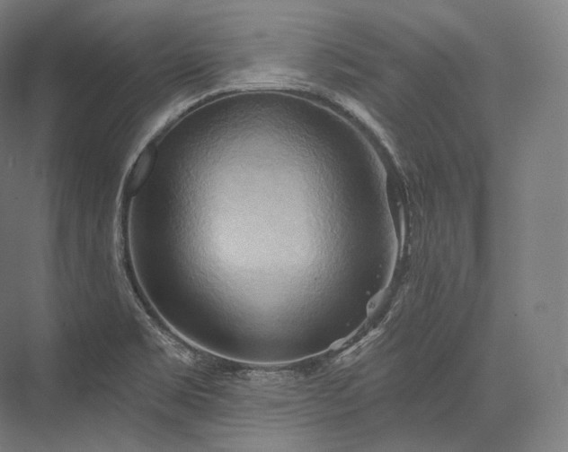 X0000076381469200610061112