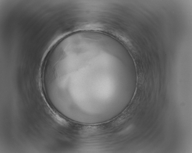 X0000076381470200610061112