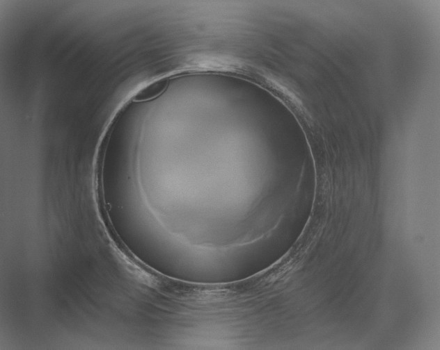 X0000076381471200610061112