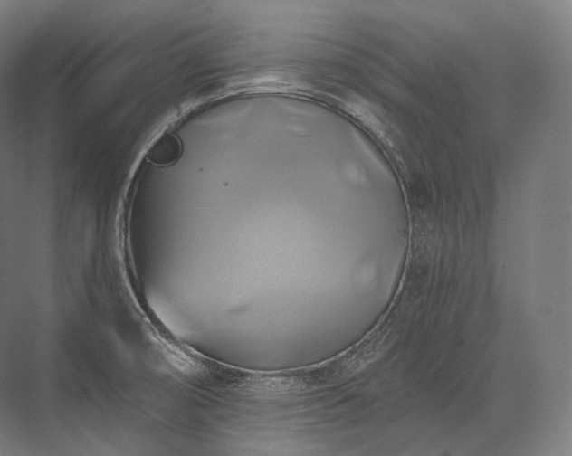 X0000076381474200610061111