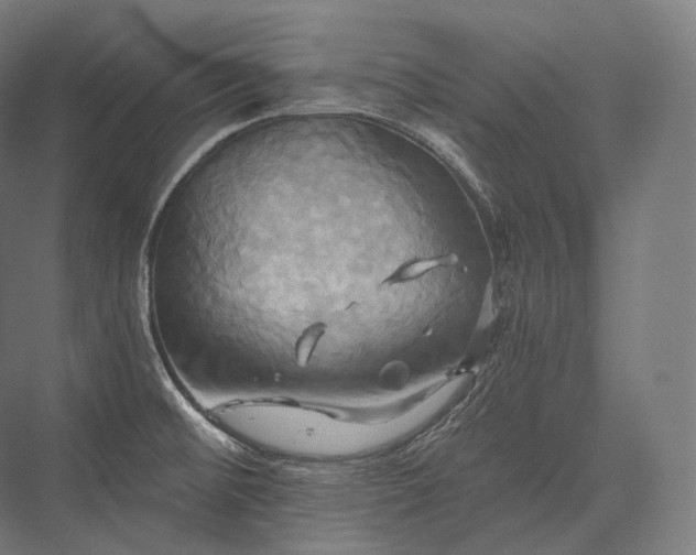 X0000076381476200610061111