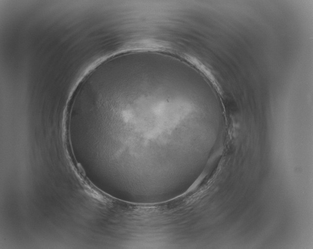 X0000076381477200610061111